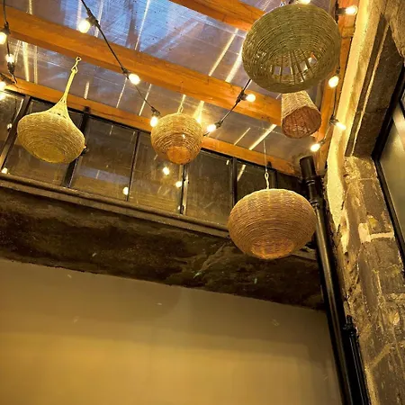 Les Cactus #maisonsavaron * Clermont-Ferrand